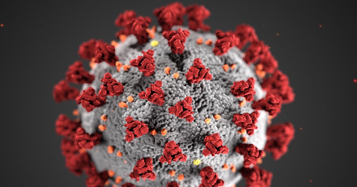 Statement by Prime Minister Trudeau to mark one year since the WHO declared COVID-19 a pandemic