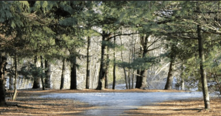 Ottawa is getting a new community pavillion