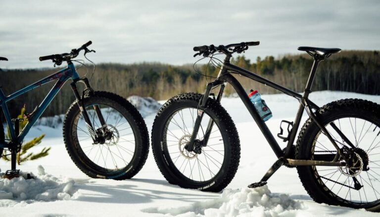 Best bikes for the Canadian winter