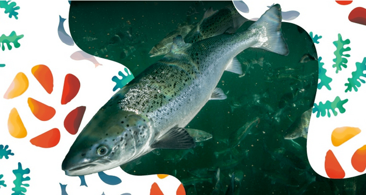 Aquaculture exhibit coming to Agriculture and Food Museum