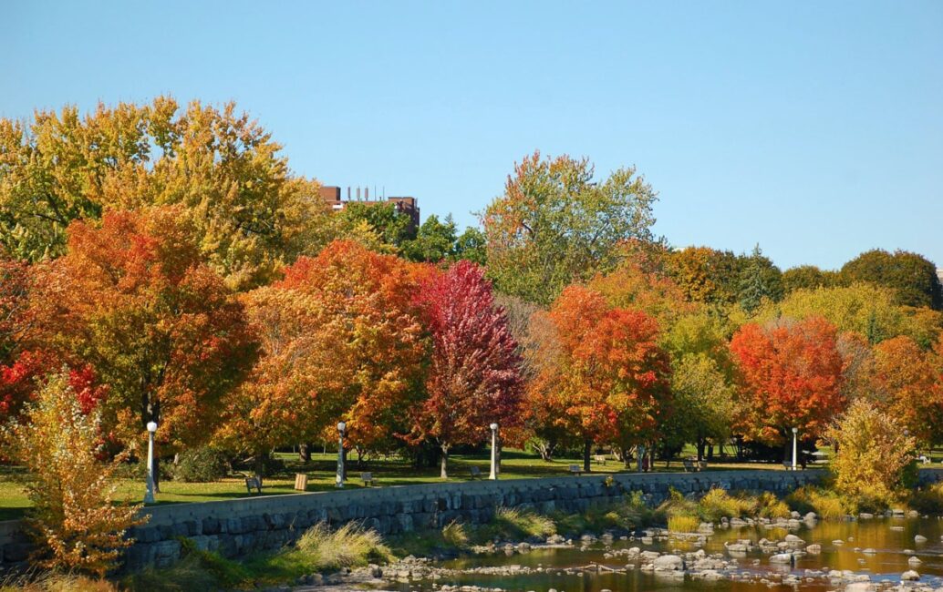 Registration is now open for the fall Cleaning the Capital campaign