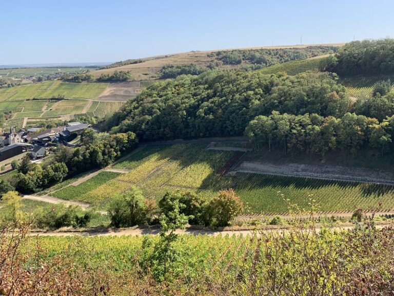 Top 10 Things to do in Loire Valley