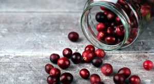 The many uses of cranberries