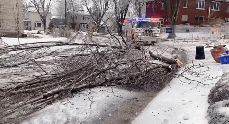 Services affected due to Ottawa ice storm