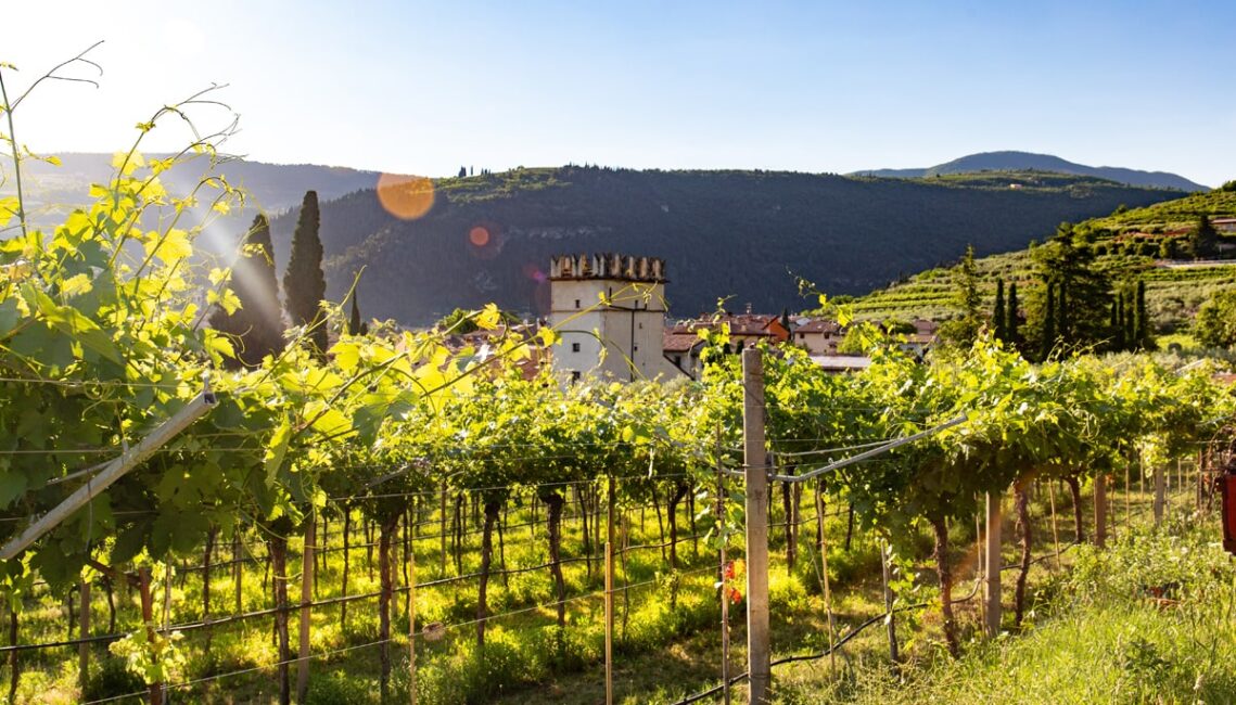7 Ways To Immerse Yourself in Italian Culture While Visiting This Summer