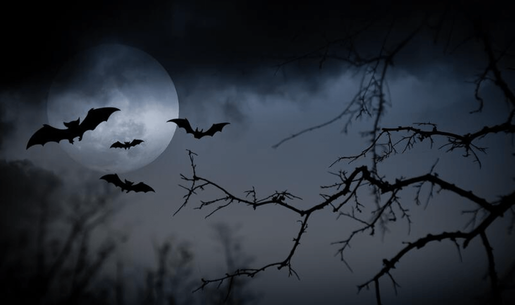 Ottawans and visitors invited to join the Fun and Frights at Rideau HALLoween