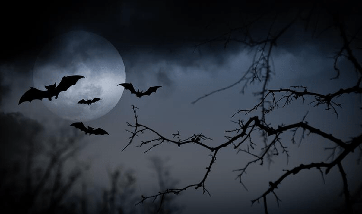 Ottawans and visitors invited to join the Fun and Frights at Rideau HALLoween
