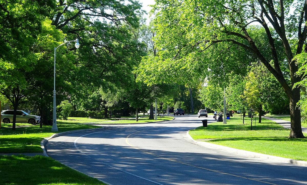 Committee to explore heritage protection for Island Park Drive