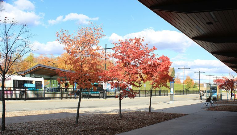 OC Transpo fall service schedule begins Sunday, August 24 - Ottawa Times