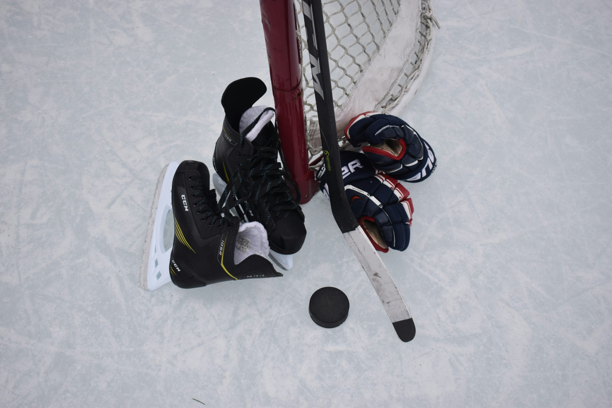 How Ottawa’s Passion for Hockey Compares to U.S. Sports Fandom