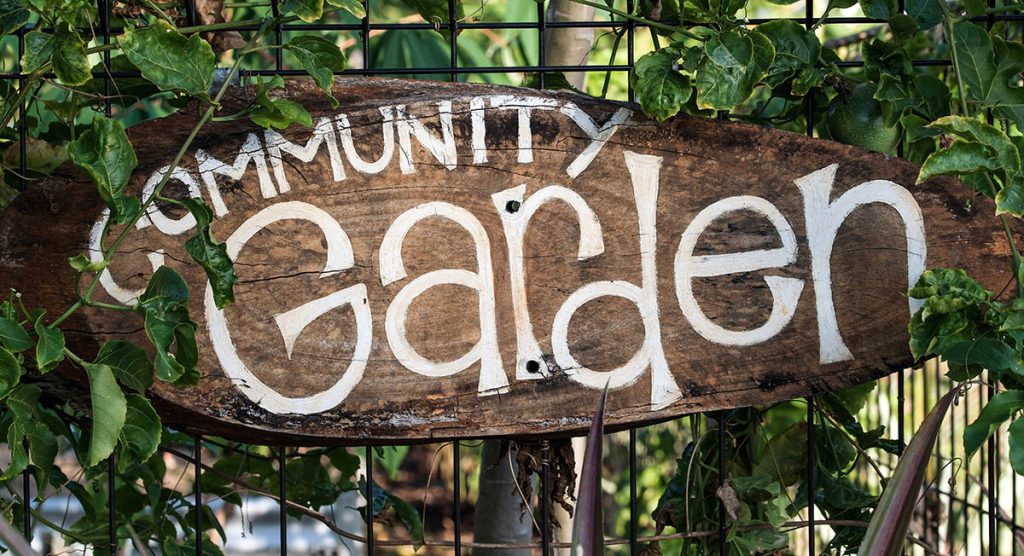 Ottawa community garden application