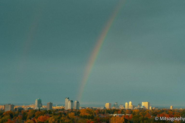 Important upcoming dates for Ottawa residents impacted by recent extreme weather