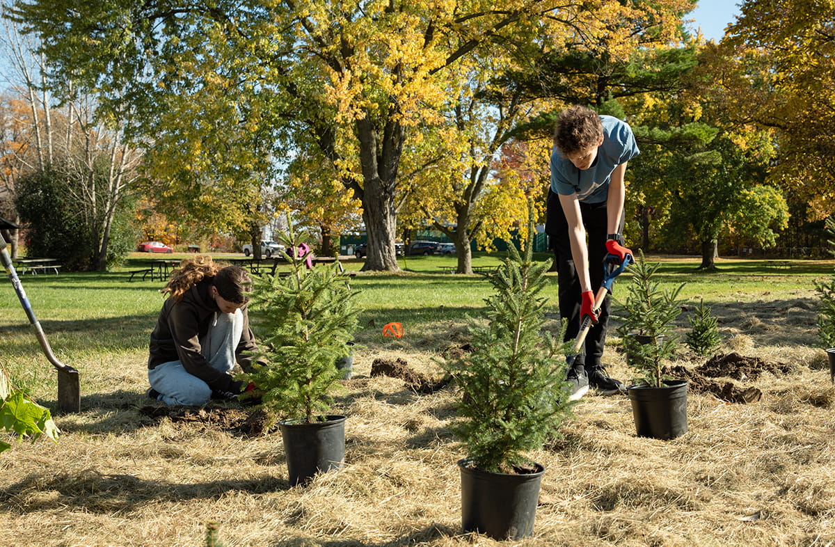 Ottawa Part of Nationwide Effort to Expand Urban Tree Canopy