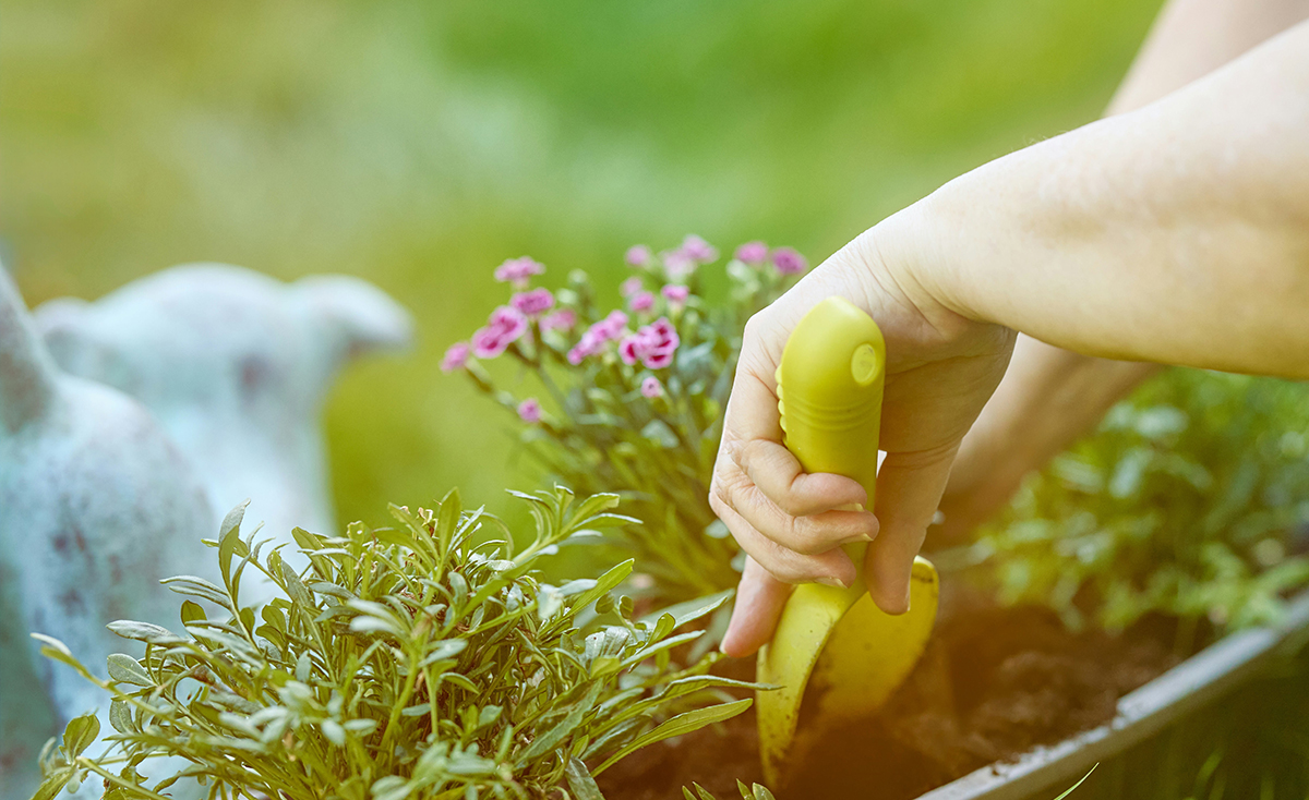 Revitalizing Your Garden After a Long Winter