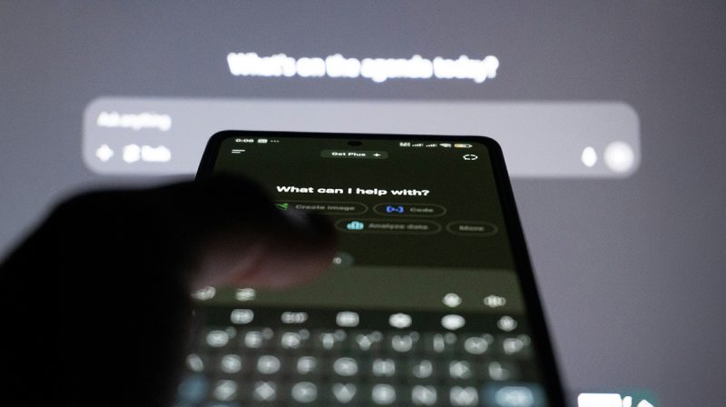 zulfugar-karimov-CaRba5ZXJTQ-unsplash (1)